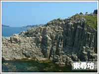 ��������@���ӊό��{�݂̓��q�V